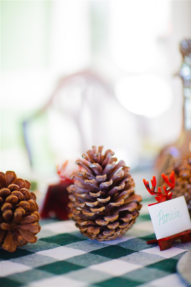 Woodsy Winter Table Setting 